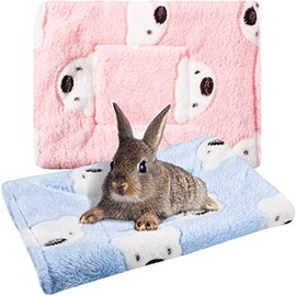 2 Pieces Guinea Pig Hamster Warm Mats Bed Hamster Sleep Pad Squirrel Hedgehog Soft Cushion Rabbit Chinchilla Bed Mat House Nest(Cute Color, Bear Pattern)