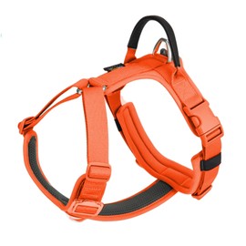 SMALL COMBINATION Dog Harness,No-pull Dog Harness,Adjustable Vest with Durable Handle,Small and medium-sized dog,Outdoor Training Walking(Orange, L)