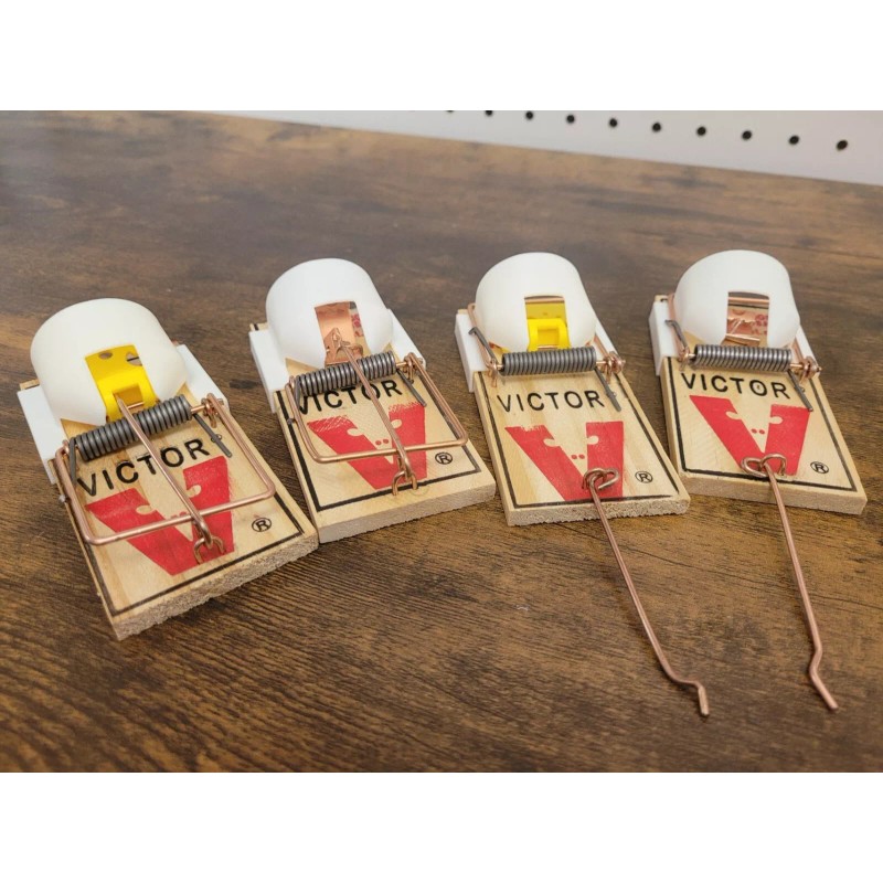 Victor Vitor Mouse Trap Hood Guide Upgrade - 6 Pack