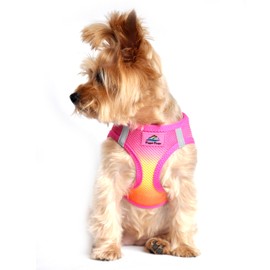 American River Dog Harness Ombre Collection - Raspberry/Pink/Orange