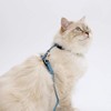 Catit Nylon Adjustable Cat Harness and Leash Set, Large, Blue