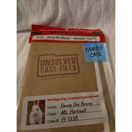 UNSOLVED CASE FILES | Honey The Bunny | Family-Friendl
