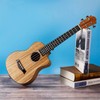 Ranch Tenor Ukulele 26 inch Professional Learn to Play Cutaway