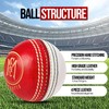 Mozi Sports® Leather Cricket Ball Senior Hand Stitched Match Quality