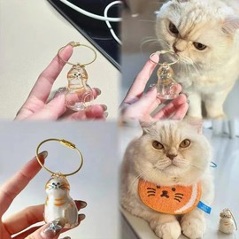 6pcs Cat Fur Storage Bottle Cat Hair Keychain, Transparent Cat Hair Storage Box Pendants, Capsule Toys Pet Hair Container, Collection Cat Hair Keychain Bottle