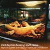 New Upgrade Reptile Heat Lamp Bulb (3rd Gen No Broken),