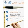 習字 書道 太筆 細筆 2本 セット 「文雅・玄和」【使いやすい 3号 8号 相当サイズ】