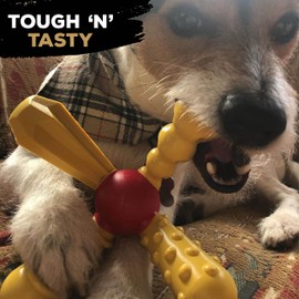 TastyBone QuattroBone Nylon Dog Chew Toy for Small Dogs (Chorizo) - Indestructible for Aggressive Chewers, Everlasting Flavour, Strong Healthy Teeth, Made in the UK