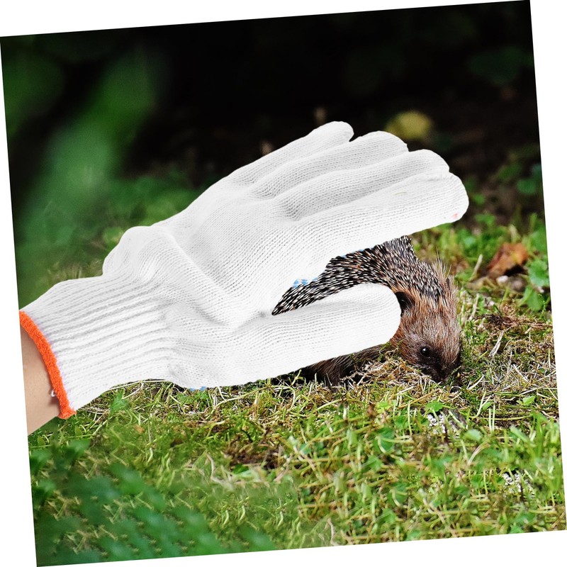 jojofuny Pet Gloves Thicken Breathable Animal Handling Safety Anti-scratch Random