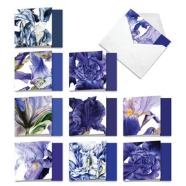 The Best Card Company 10 Thank You Card Assortment Box Set (4.8 x 6.6 Inch) with Envelopes (10 Designs, 1 Each) Iridescent Iris MQ4949TYG-B1x10