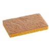Cellulose Sponge with Natural Sisal Scouring Pad, 6 x 3.5