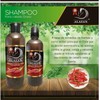 Alazan Shampoo, Con Chile Sabila Y Romero 1 Lt,