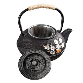 ALSKHEAS Japanese Cast Iron Teapot, Cast Iron Tea Kettle with Infuser, Plum Blossom Cast Iron Tea Pot for Stovetop Safe Coated with Enameled Interior 20.29oz/600ml