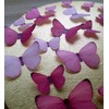 Anglesit Anglesit Pre-Cut Beautiful Gradient Pink Mixed Size Butterflies A