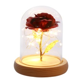 iplusmile Gold Foil Rose Glass Dome Small Retro Style Decorative Table Ornament Unique Luxury Red Floral Accent for Home and Office Decor