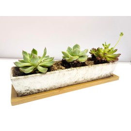 Maerskye Long Rectangle Succulent Planter Pot, one Set of 10.9 inch White Ceramic Container Potwith Bamboo Saucers Plant for Indoor Outdoor Home Garden Kitchen Decor,Plant not Include (White)