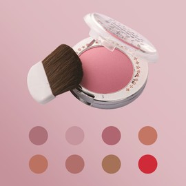 Prorance Makeup Blusher 8. Peach Touch / 프로랑스 메이크업 블러셔 8. 피치터치