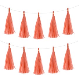 MECCANIXITY 25Pcs Orange Tassel Garland Banner with Rope Tissue Paper Tassels Party DIY Kits for Anniversary Wedding Birthday Party
