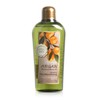 Fruitland Eco Ennea Argan Moisture Body Oil 200ml / 과일나라