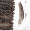 THARAHT 24pcs Natural Spotted Feathers Guinea Fowl Wing Feathers 6-8
