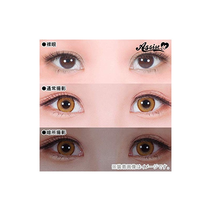 アシストシュシュ シュテラ ワンデーカラコン 【1箱6枚入り】度あり 度なし 14.5mm Assist ChouChou Shutella 1day