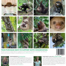 SLOTHS 2025 Wall Calendar