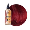 Bigen Semi-Permanent Haircolor #Ar4 Apricot Red 3oz (3 Pack)