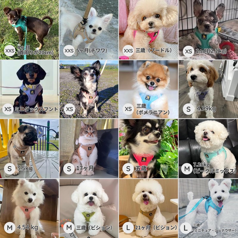 BELLA & PAL 犬用 ハーネス 首輪 胴輪 大型犬 小型犬 中型犬