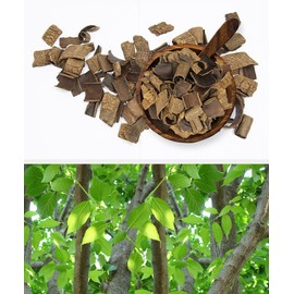 Organic Natural Pure Roasted Eucommia Bark Extract Herbal Pills - Concentrated 10.58 Ounce (300g)