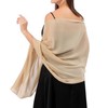 Women's Sheer Chiffon Scarves and Wraps – Elegant Plain Shawl