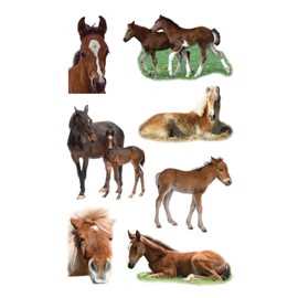 Avery Zweckform CRE Foal Photo Paper Stickers - 3 Sheets