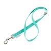 GROOMER ESSENTIALS 22" Grooming Loops - Turquoise