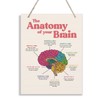 Brain Anatomy Wood Sign, 10*7.9 inches, Modern Art Decor, Hanging