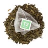 T2 Tea Sencha Green Tea Bags in Resealable Foil Refill