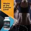 엑스트라버겐트벨류 비타민C 1000mg 이뮨비타민 150정 Extravagant Value Vitamin C 1000mg