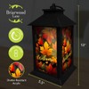 Briarwood Lane Fall Lantern 13.5" x 5.5" x 5.5" Autumn