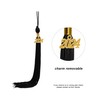 SAMDEEMI Graduation Tassel with 2024 Gold Year Charm for Graduation