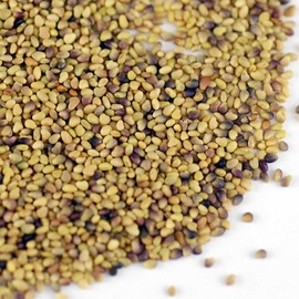 Organic Red Clover Sprouting Seeds -2.5 Lbs- Red Sweet Clover Seed for Sprouting, Gardening, Salad Greens, Hydroponics, Edible Seed, Food Storage & More