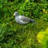 NITEHAWK 2 x Painted Full Body Pigeon Decoy Shell Hunting