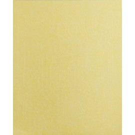 Eduard Mask 1:48 - B-25D (Revell)