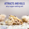 TERRO T200-3SR Liquid Ant Killer – 3 Pack Terro Liquid