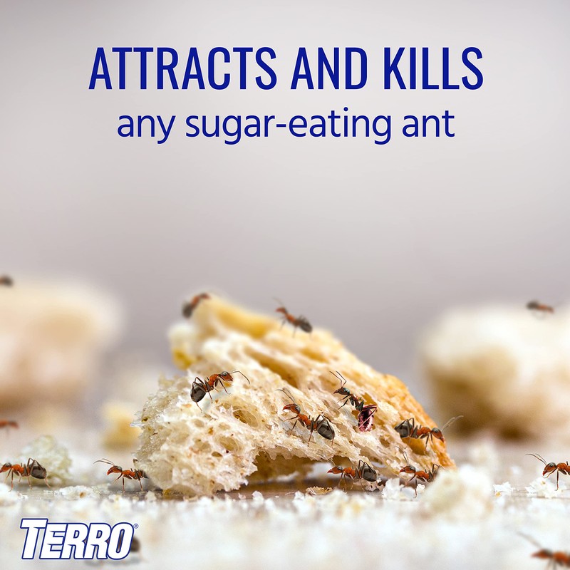 TERRO T200-3SR Liquid Ant Killer – 3 Pack Terro Liquid