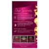 Napro Palette Permanent Hair Colour 4 - 88 Intensive Dark