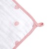 Aden + Anais Washcloth Set, Set of 3