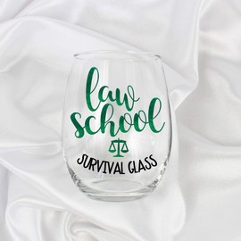 Law School Survival Glass Stemless Wine Glass Gifts for Students and Women 005