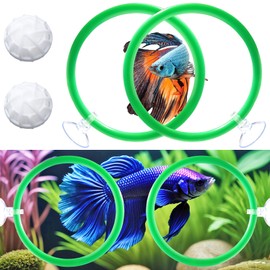 Betta Fish Toys - 4 Training Rings & 2 Bio Filter Balls, Beta Exercise Loop Toys and Nitrifying Balls Set, Betta Fish Tank Accessories Feeding Ring for Small Tank Decor Aquarium Water Conditioner