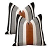 Vfuty Set of 2 Black White Boho Pillow Cover with