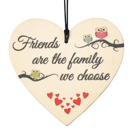 Best Friend Gift Ornaments for Women Girls BFF Friendship Ornament, Bestie Birthday Gifts, Female Friends Themed Party Decorations, Hanging Wall Decor Sign Plaque