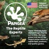 Pangea Fruit Mix with Insects Crested Gecko Complete Diet 1