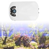 Aquarium Oxygen Pump Silent 2 Outlets Small Portable Fish Tank